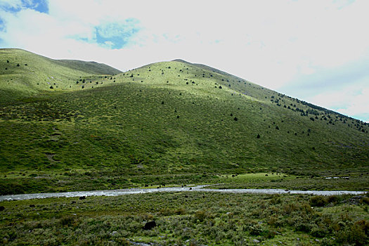 绿水青山