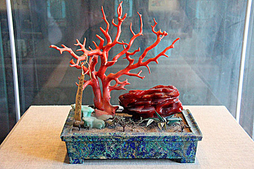红珊瑚盆景