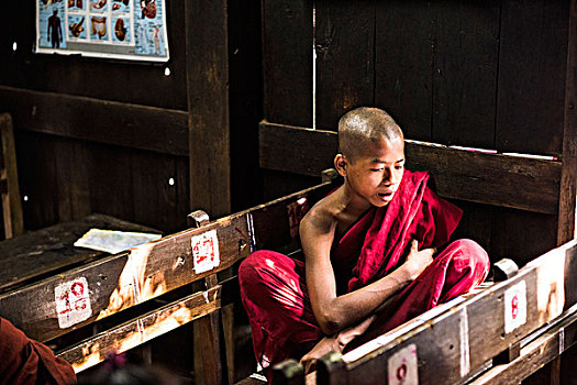 曼德勒,区域,缅甸,年轻,僧侣,学习,寺院
