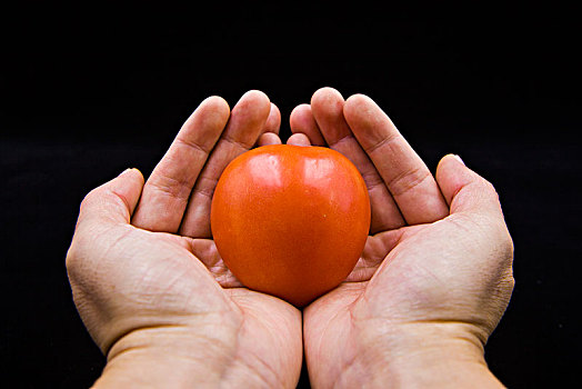 双手托着西红柿