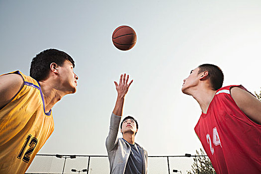 裁判,投掷,球,空中,篮球手,准备,跳跃