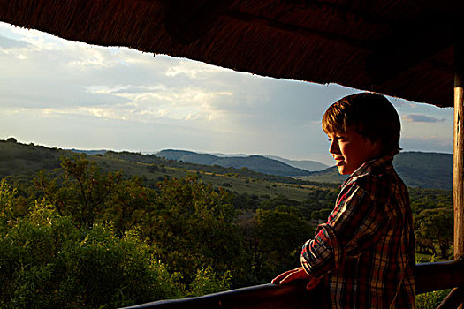 男孩,阳台,住宿,心形,靠近,比勒陀利亚,南非