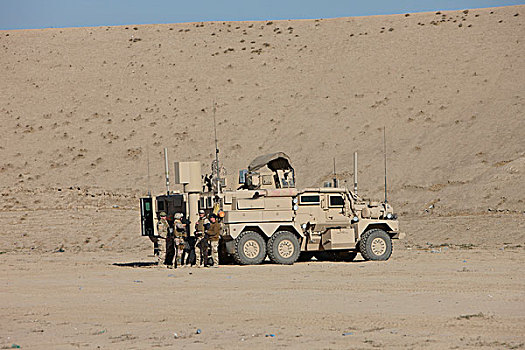 美洲狮,旱谷,靠近,阿富汗