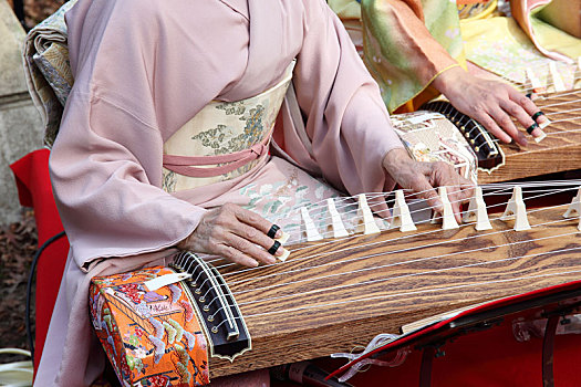 日本人,女人,演奏,传统音乐,器具