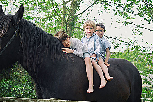 三个男孩,排列,骑,骑马,木头