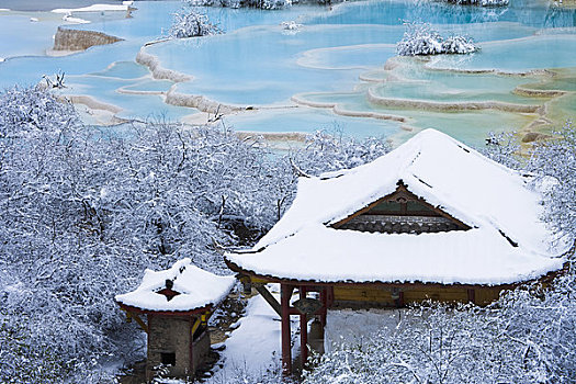 积雪,建筑,树,靠近,水塘,黄龙,四川,中国