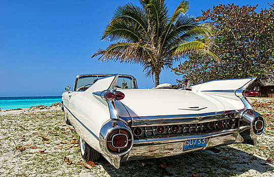 白色,卡迪拉克,海滩,瓦拉德罗,古巴