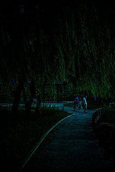岸边,河流,柳树,护栏,江景,倒影,小孩,自行车,走廊