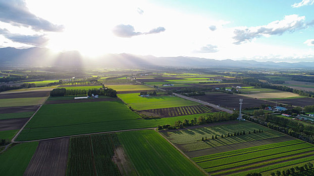 航拍,北海道,日本