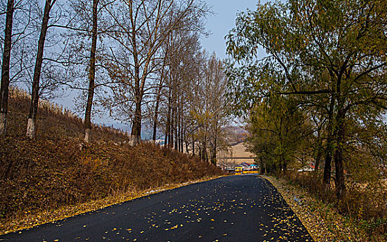 秋天农村的乡间道路