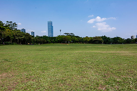 深圳莲花山公园cbd建筑群