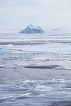 浮冰,西部,海岸,格陵兰