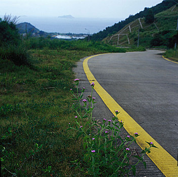 岭澳核电厂区路