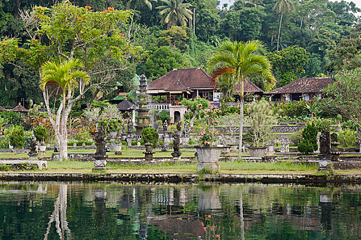 水,宫殿,圣泉寺,巴厘岛,印度尼西亚,亚洲