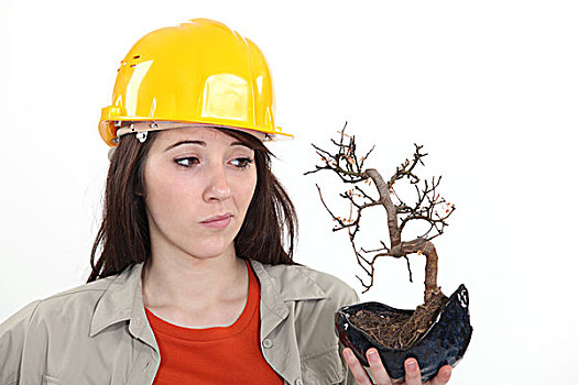 女性,建筑工人,拿着,枯萎植物