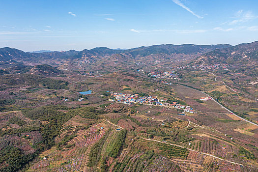 航拍沂蒙山区乡村果园