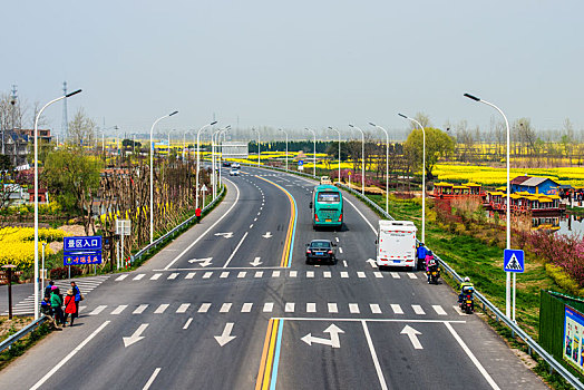 江苏,兴化,景观,公路