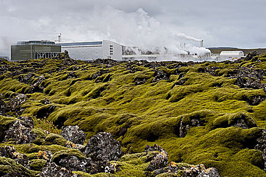 火山岩,遮盖,石头,苔藓,地热发电站,靠近,南方,半岛,雷克雅奈斯,冰岛,欧洲