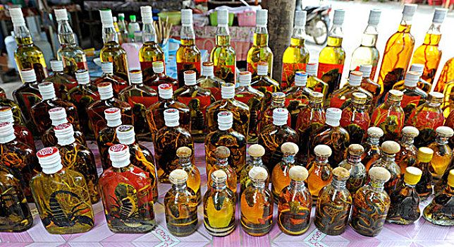 威士忌,瓶子,腌制,蛇,老挝,东南亚,亚洲