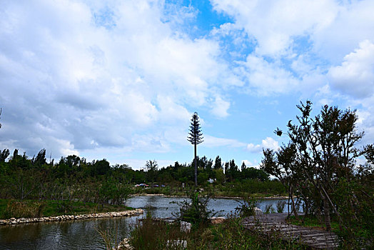 龙湖风光