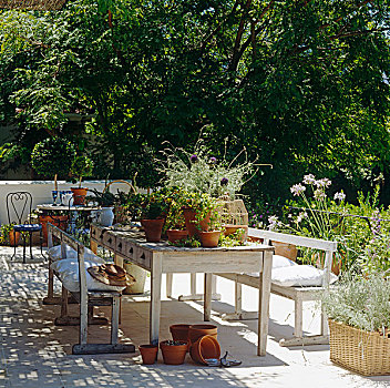 厨房用桌,一对,长木凳,平台,盆栽