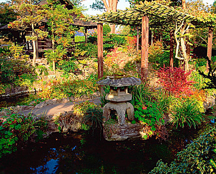 日本,花园,爱尔兰,日式灯笼,棚架,茶馆,背景