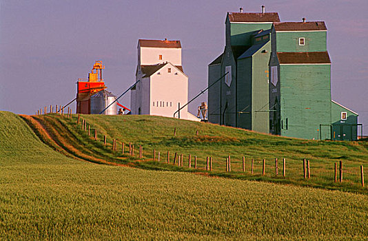 谷仓,艾伯塔省,加拿大