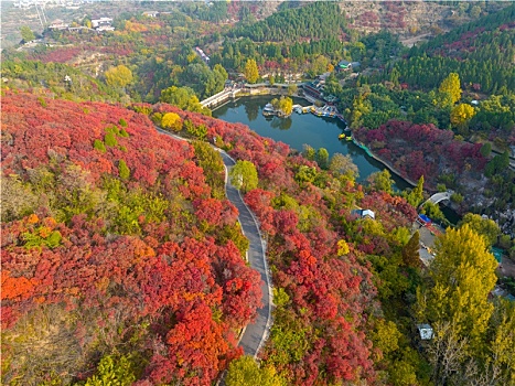 航拍济南红叶谷景区