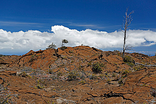 火山岩,巴利,道路,火山,国家,公园,夏威夷,美国