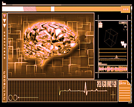 橙色,大脑,界面,科技