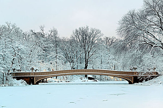 蝴蝶结,桥,中央公园,冬天,曼哈顿中城,纽约