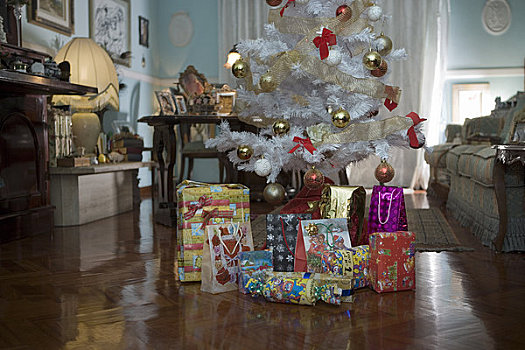 圣诞树,礼物,家