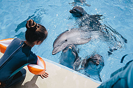 小女孩,坐,看,海豚,漂浮,游泳池