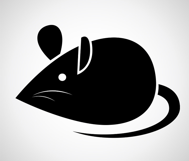 矢量_图像_老鼠_白色背景_图片素材