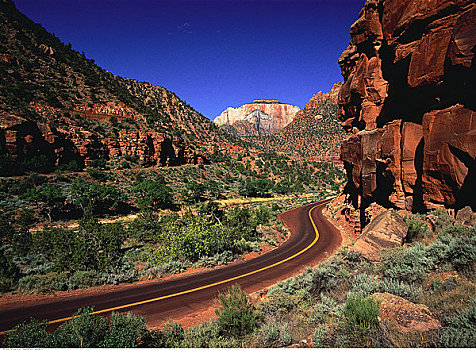 公路,岩石构造,锡安国家公园,犹他,美国