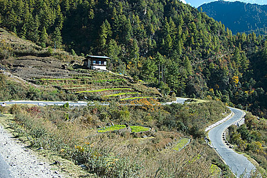 风景,不丹,十一月,2007年