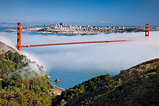 下午,雾,旧金山湾,加利福尼亚,美国