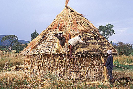 两个,男人,屋顶,小屋,埃塞俄比亚,非洲