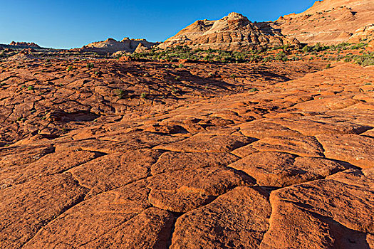 沙岩构造,弗米利恩崖,荒野,亚利桑那,美国