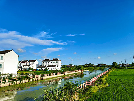 田野,田园风光