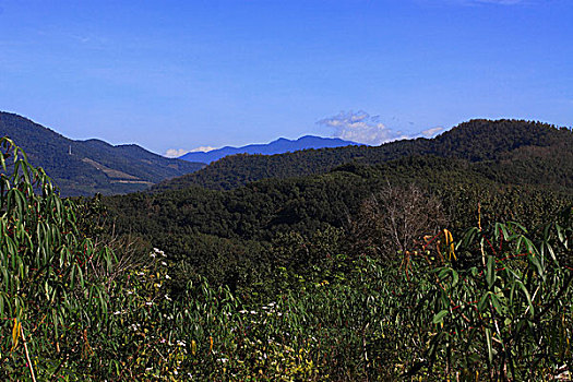 大山风光