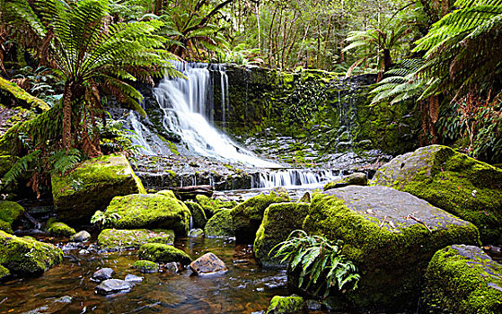 水,落下,上方,长椅,马蹄铁瀑布,地点,国家公园,塔斯马尼亚,澳大利亚