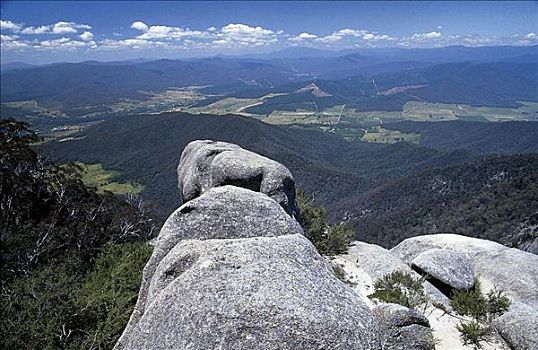 山峦,攀升,水牛,高山,国家公园,维多利亚,澳大利亚