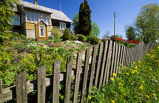 木屋,栅栏,花园,乡村,立陶宛,欧洲
