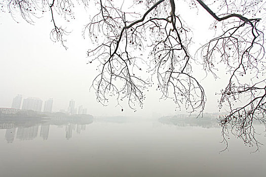 九江,甘棠湖,楼房,倒影,烟水亭,古迹,湖泊,城市