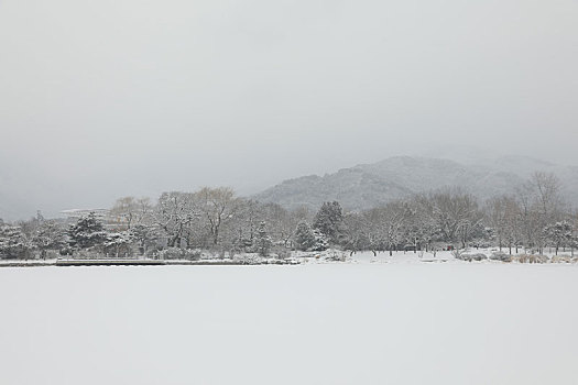 雪中的北京植物园屏山