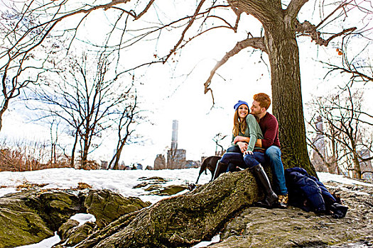 浪漫,年轻,情侣,坐,狗,雪,中央公园,纽约,美国