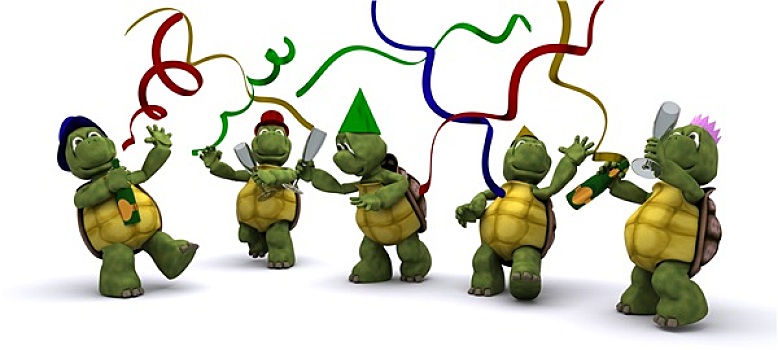 龟,庆贺,聚会