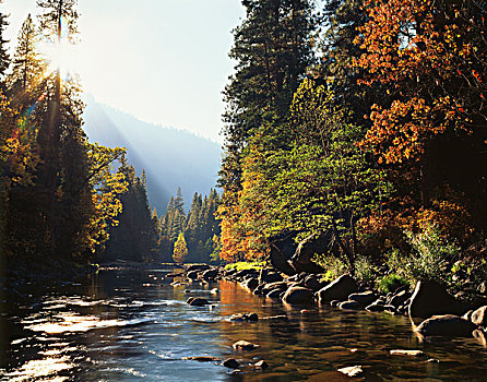 美国,加利福尼亚,优胜美地国家公园,秋色,反射,默塞德河,大幅,尺寸