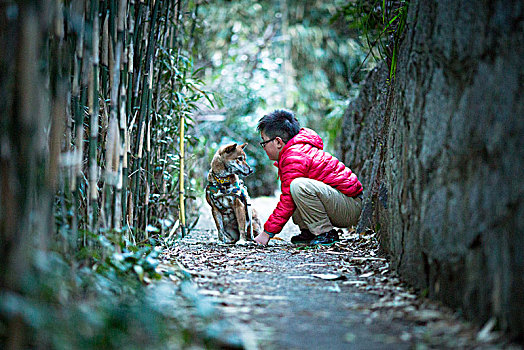 男孩,柴犬